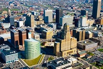 buffalo